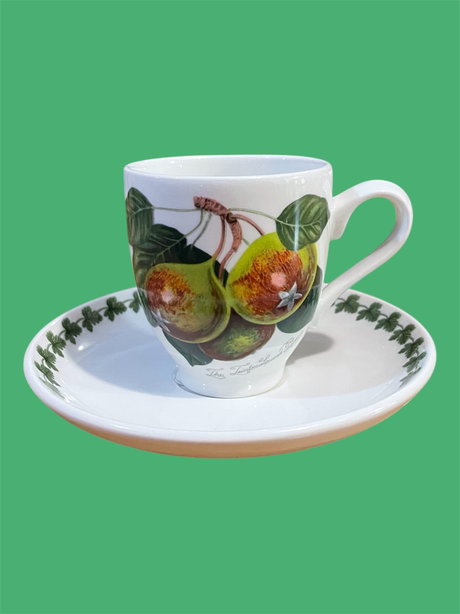 Tazza caffè con piatto Pomona ceramica inglese Portmeirion