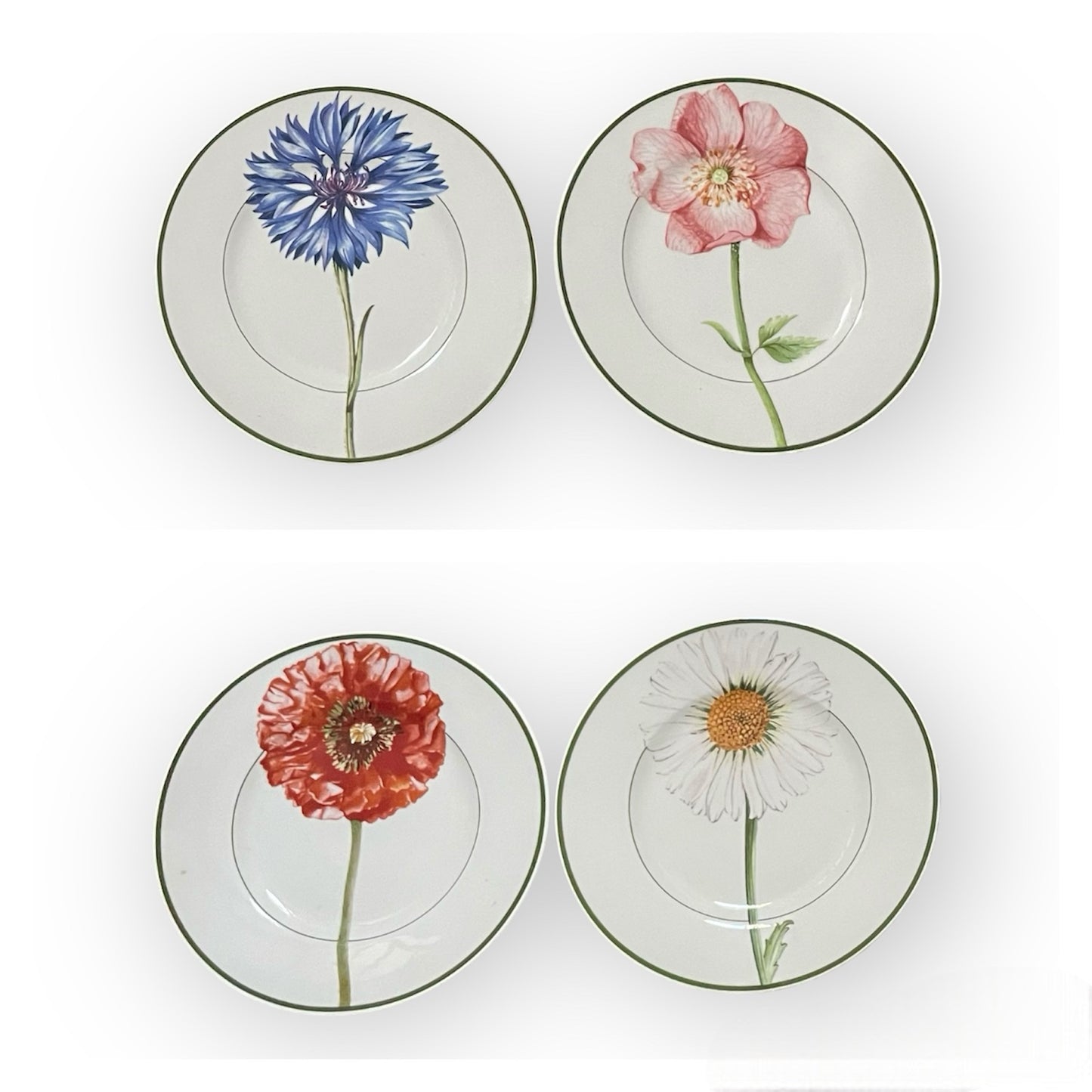 Flora-set piatti-12 pezzi-porcellana Villeroy&Boch