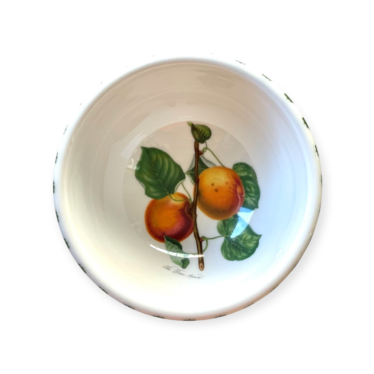 Portmeirion English ceramic Pomona fruit salad bowl