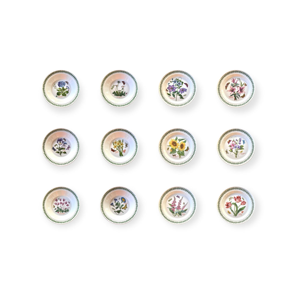 Botanic Garden-12 piatti-ceramica inglese Portmeirion floral design ceramic dinner plates set of 12