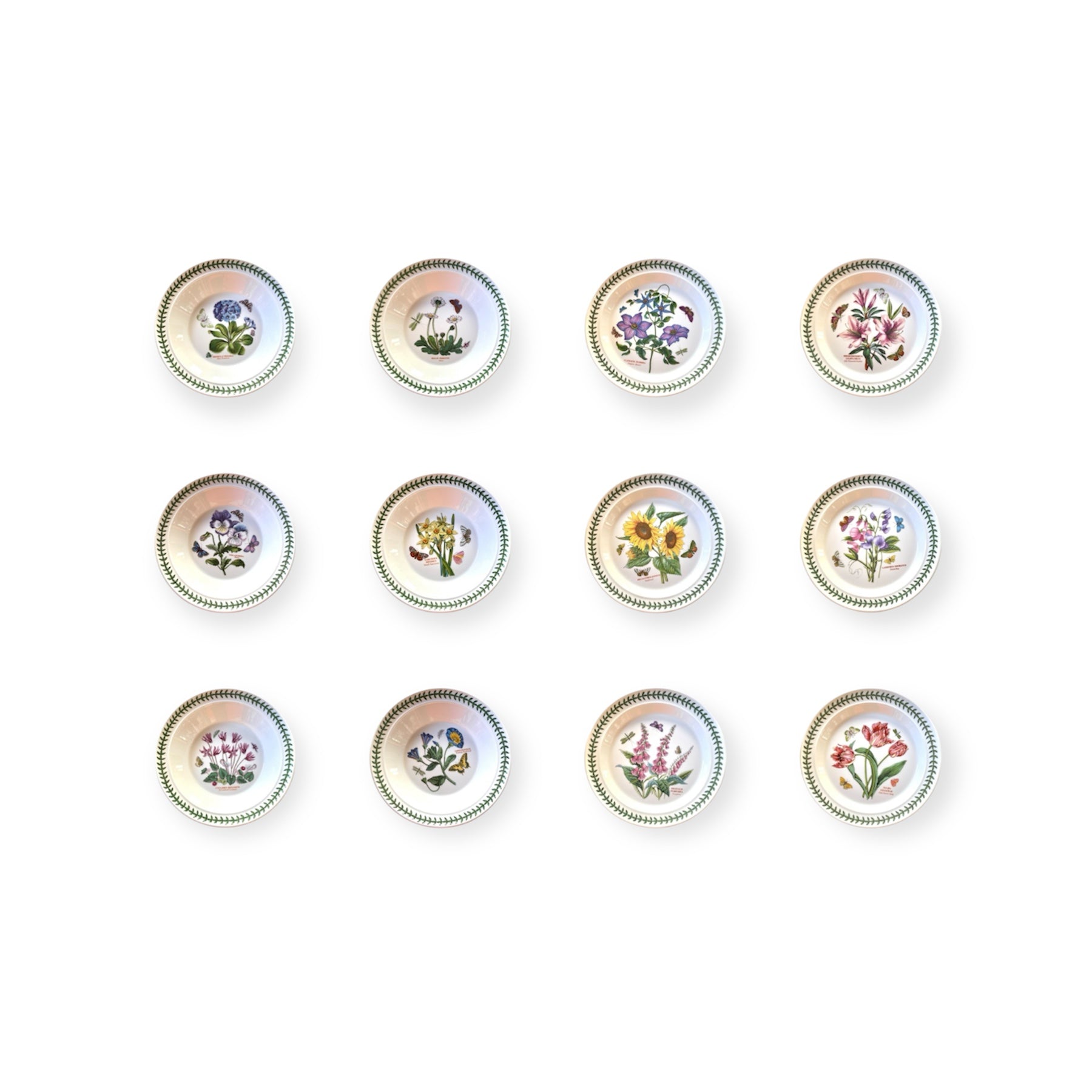 Botanic Garden-12 piatti-ceramica inglese Portmeirion floral design ceramic dinner plates set of 12