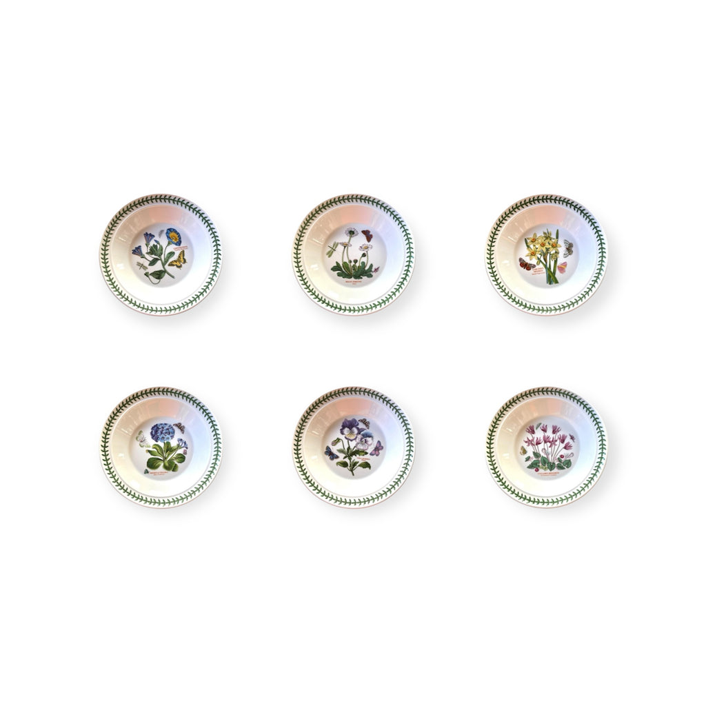 Botanic Garden-12 piatti-ceramica inglese Portmeirion set of 6 floral patterned ceramic soup plates.