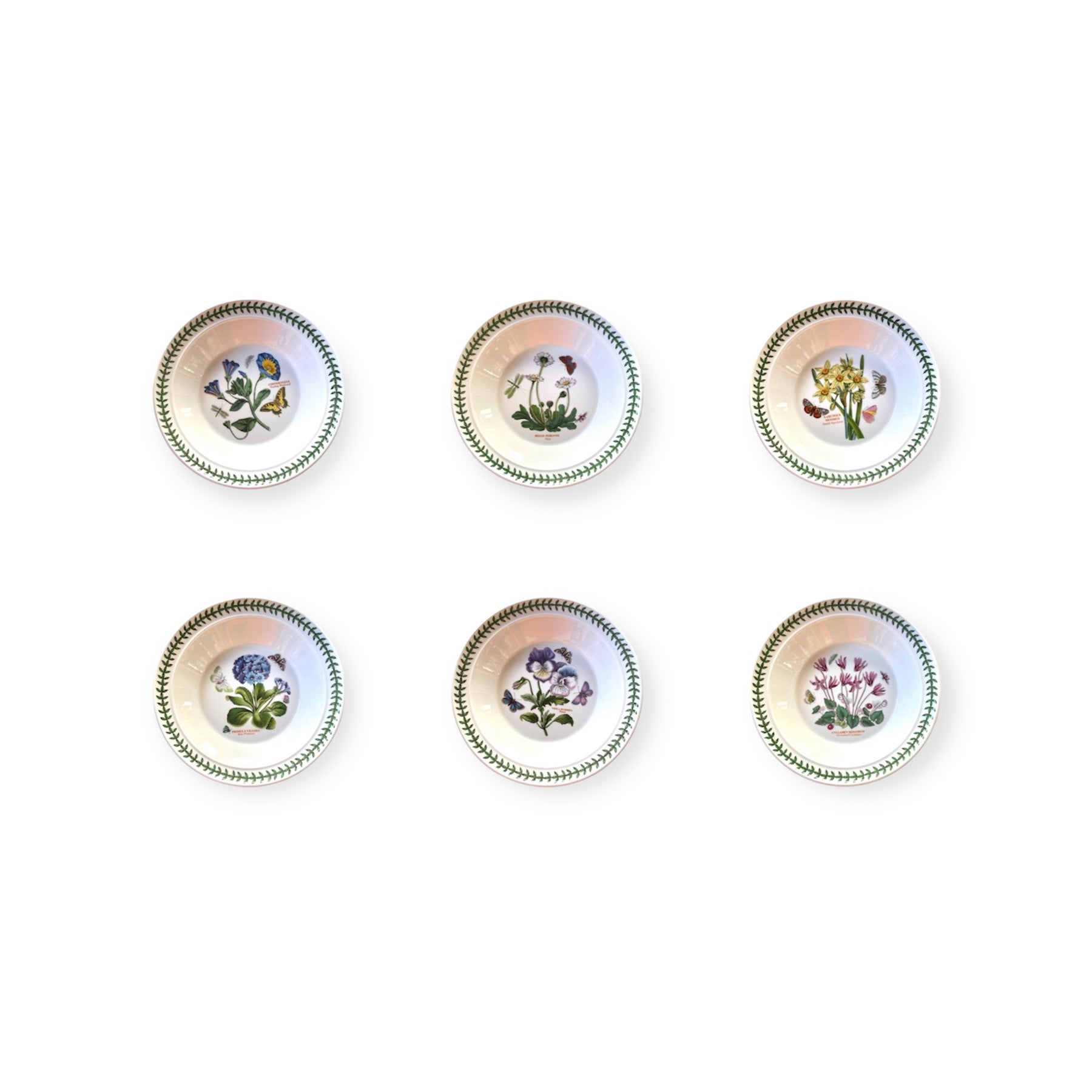 Botanic Garden-12 piatti-ceramica inglese Portmeirion set of 6 floral patterned ceramic soup plates.