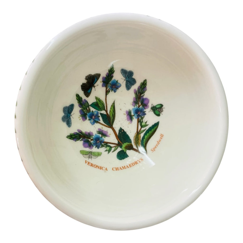 Coppetta botanic garden Veronica 