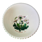 Coppetta botanic garden margherite