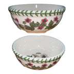 Coppetta botanic garden portmeirion 