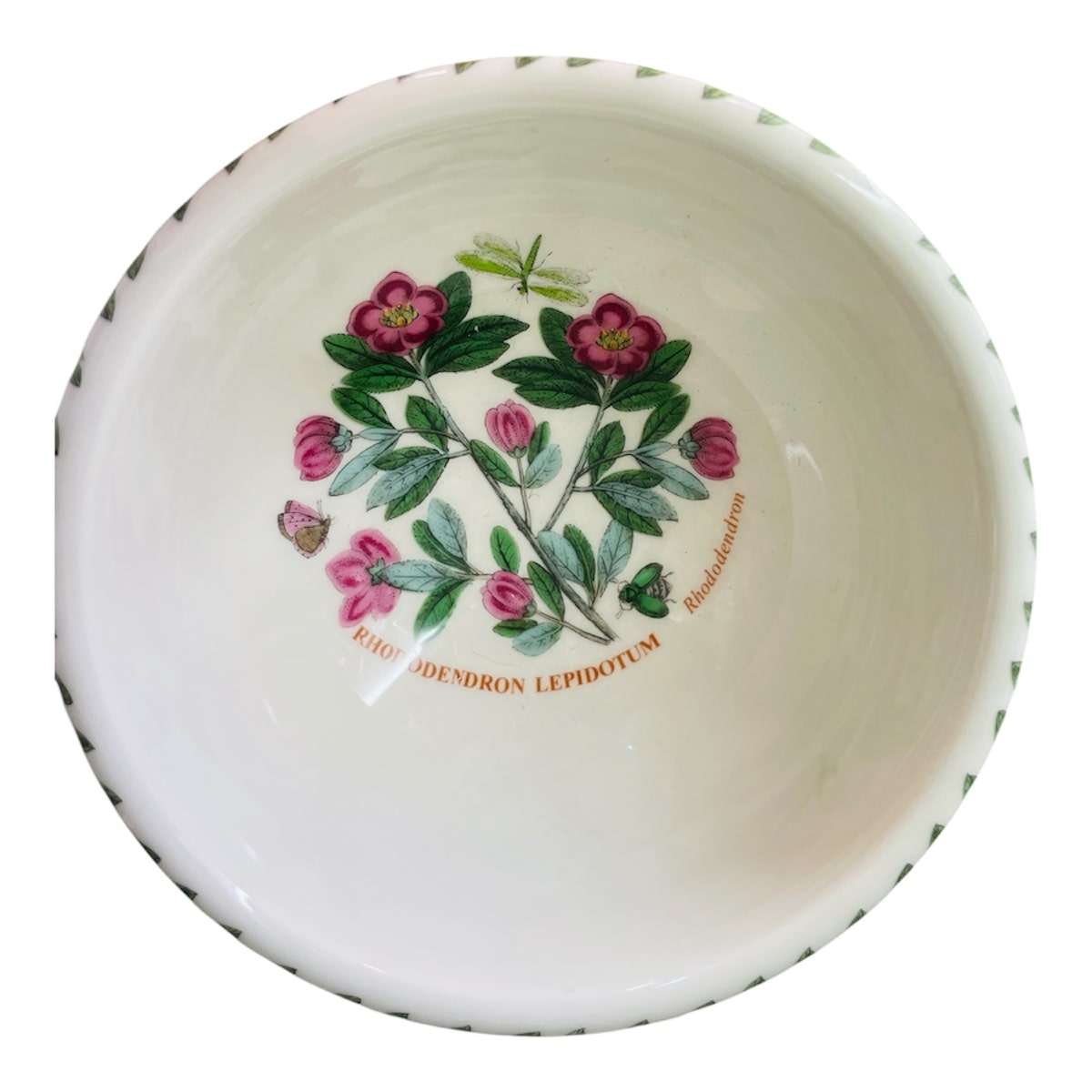 Coppetta botanic garden rhododendron 