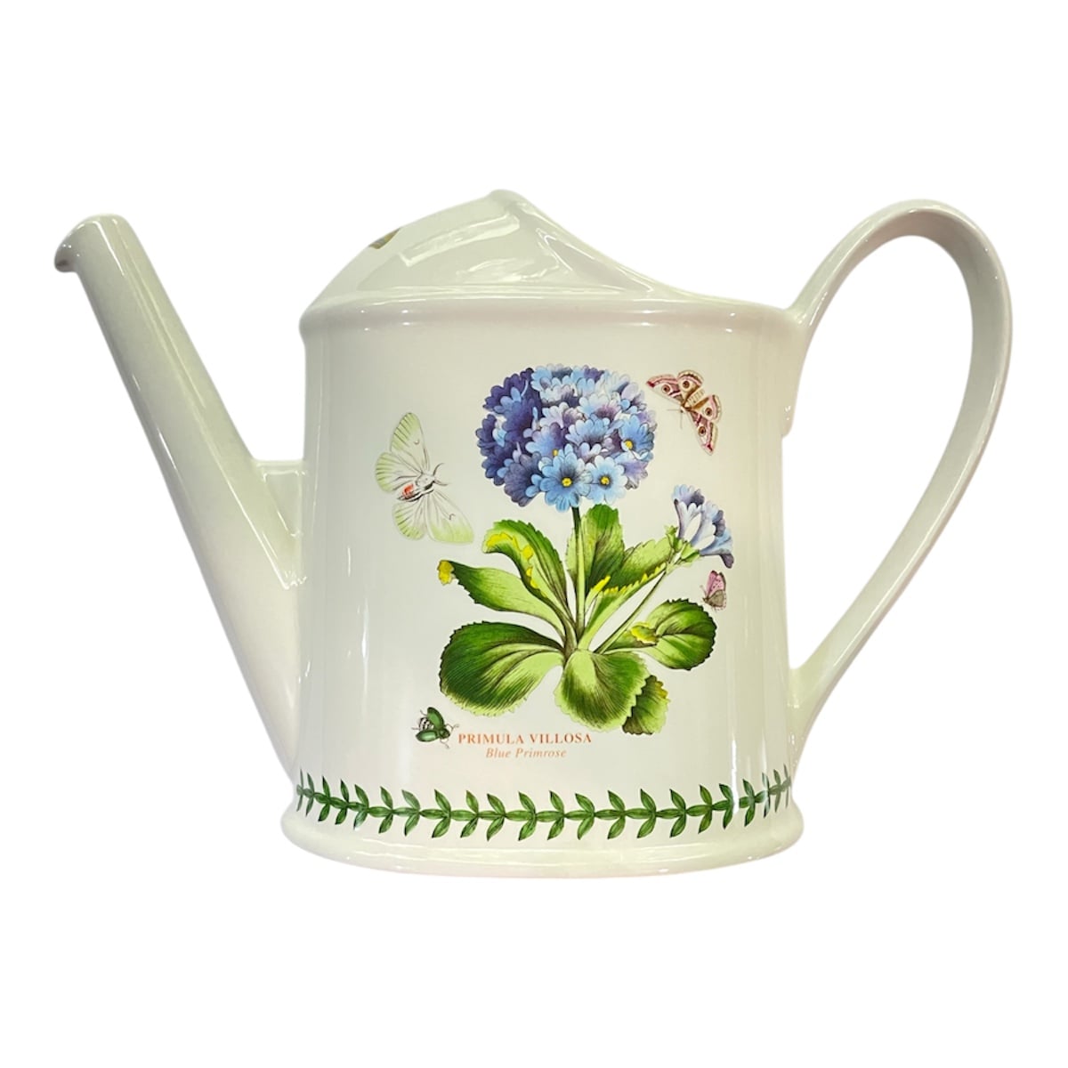 Innaffiatoio botanic garden