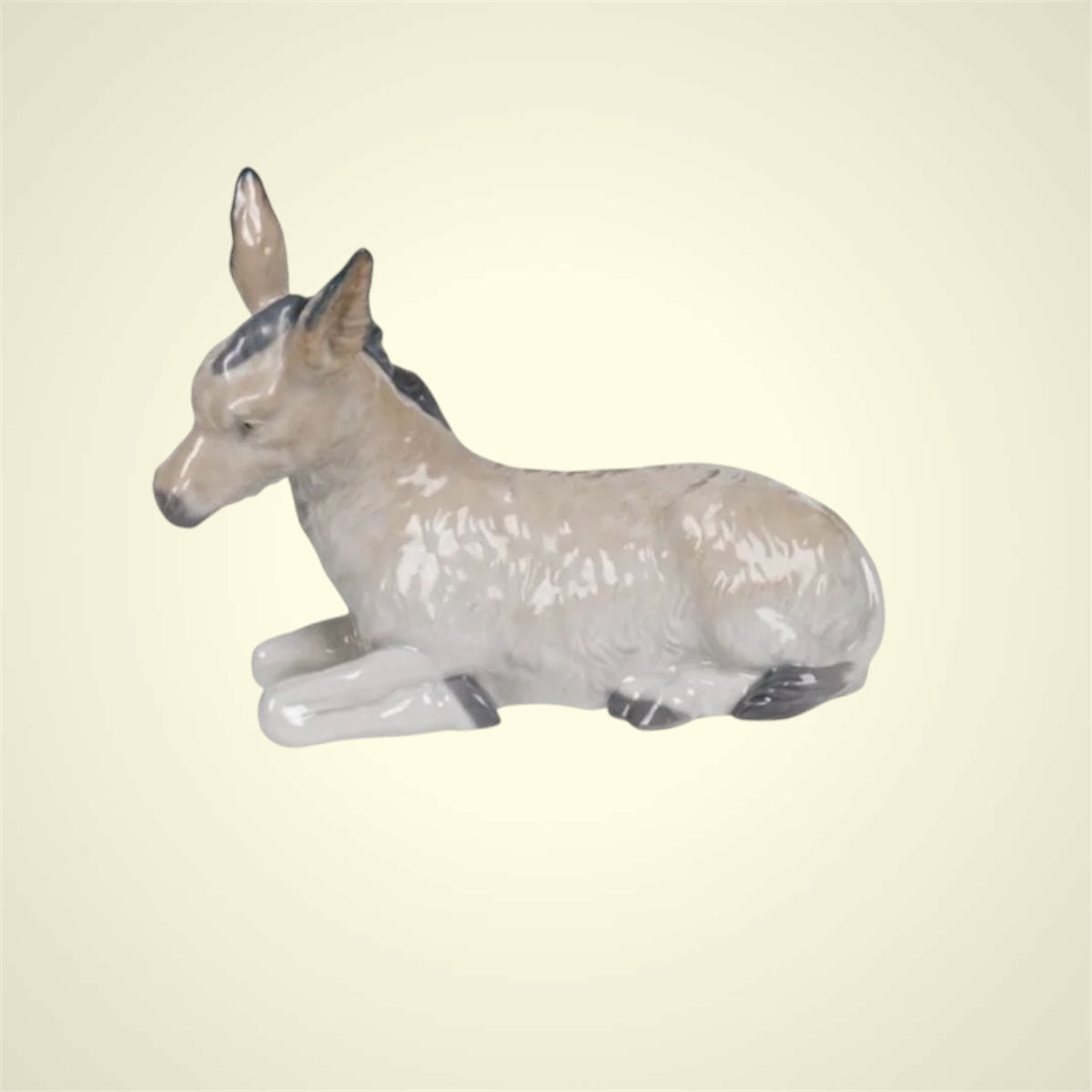 Nao asino porcellana lucida