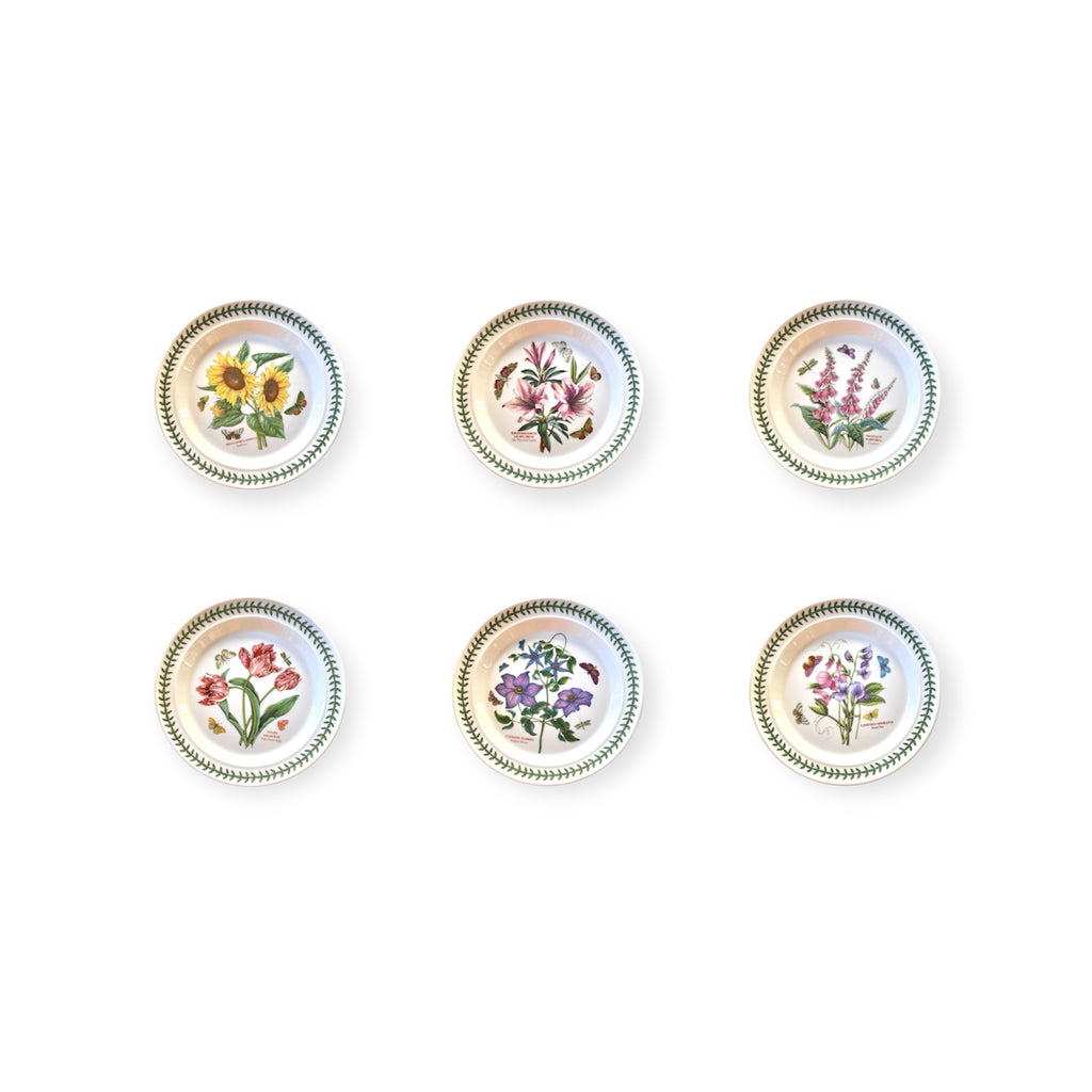 Botanic Garden-12 piatti-ceramica inglese Portmeirion set of six floral patterned plates in English ceramic.
