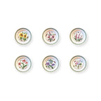 Botanic Garden-12 piatti-ceramica inglese Portmeirion set of six floral patterned plates in English ceramic.