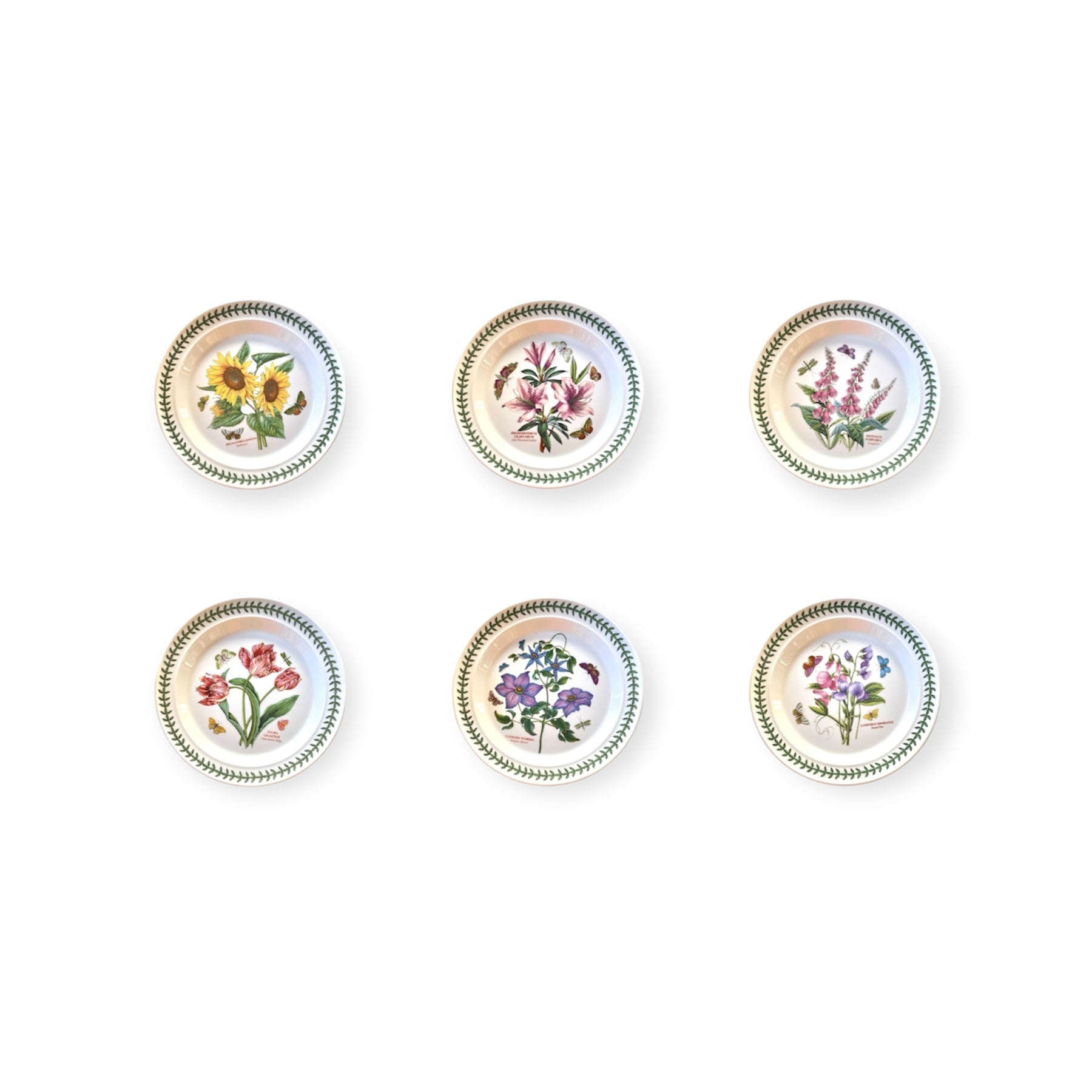 Botanic Garden-12 piatti-ceramica inglese Portmeirion set of six floral patterned plates in English ceramic.