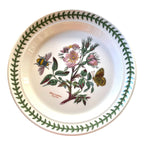 Botanic Garden- 6 piatti frutta ceramica Portmeirion with floral and insect design, 20 cm ceramic fruit plates set.