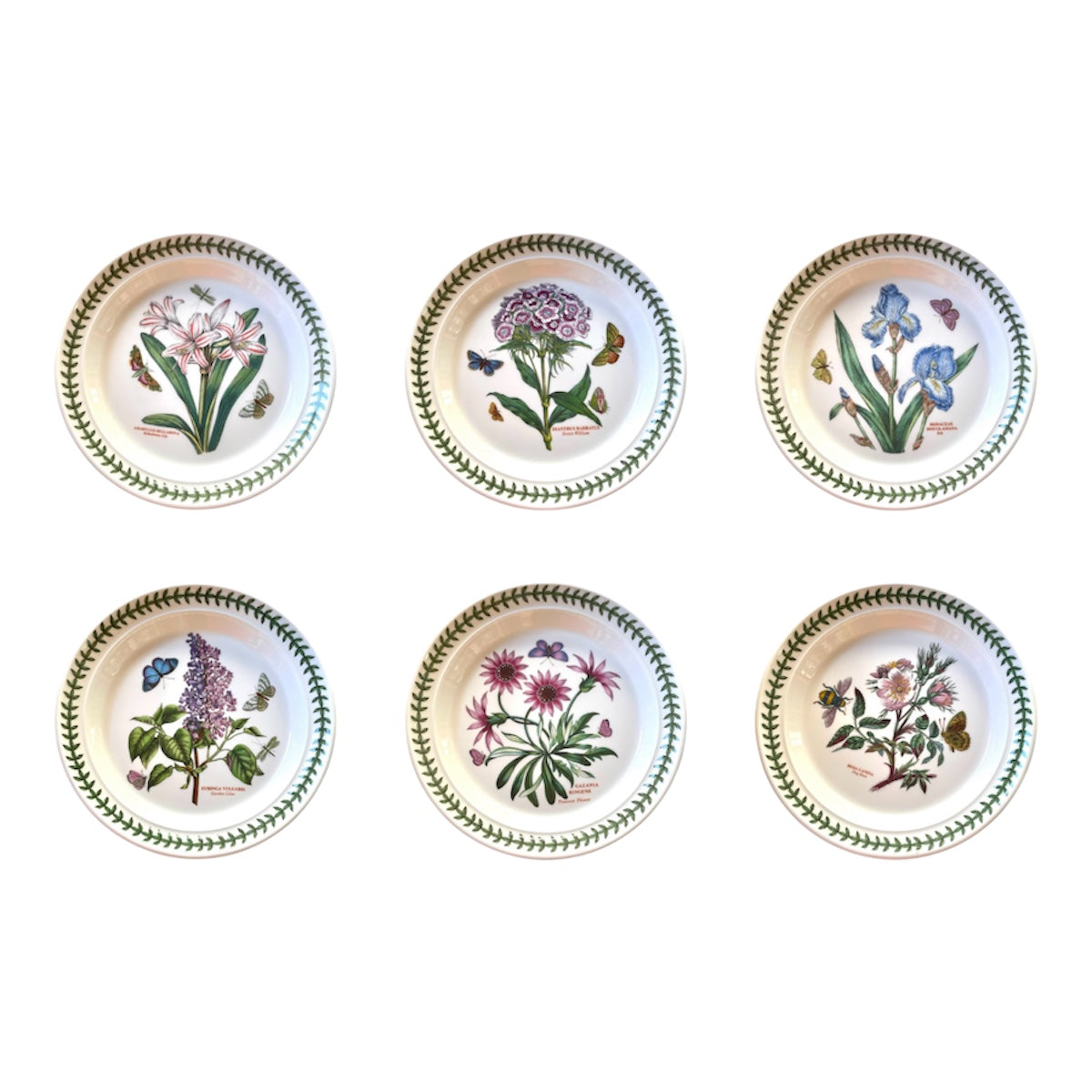 Botanic Garden- 6 piatti frutta ceramica Portmeirion set with floral and butterfly designs, 20 cm diameter, new condition.