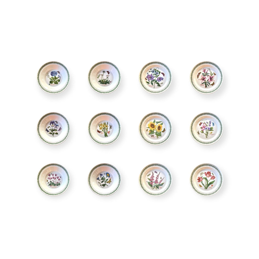 Botanic Garden-12 piatti-ceramica inglese Portmeirion floral design ceramic dinner plates set of 12