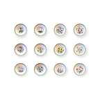 Botanic Garden-12 piatti-ceramica inglese Portmeirion floral design ceramic dinner plates set of 12