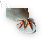 Piedi di anatra in ceramica Gallo Cedrone blu cobalto con oro per tazze e tazzine