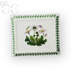 Vassoio rettangolare botanico della ceramica Portmeirion Botanic Garden